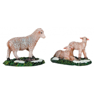 Sheep and Lambs, Set of 2